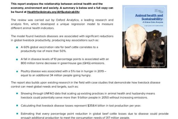 What is the Difference between Animal Health And Animal Production