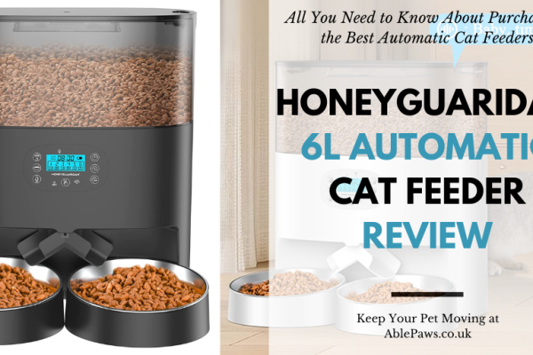 What'S the Best Automatic Pet Feeder